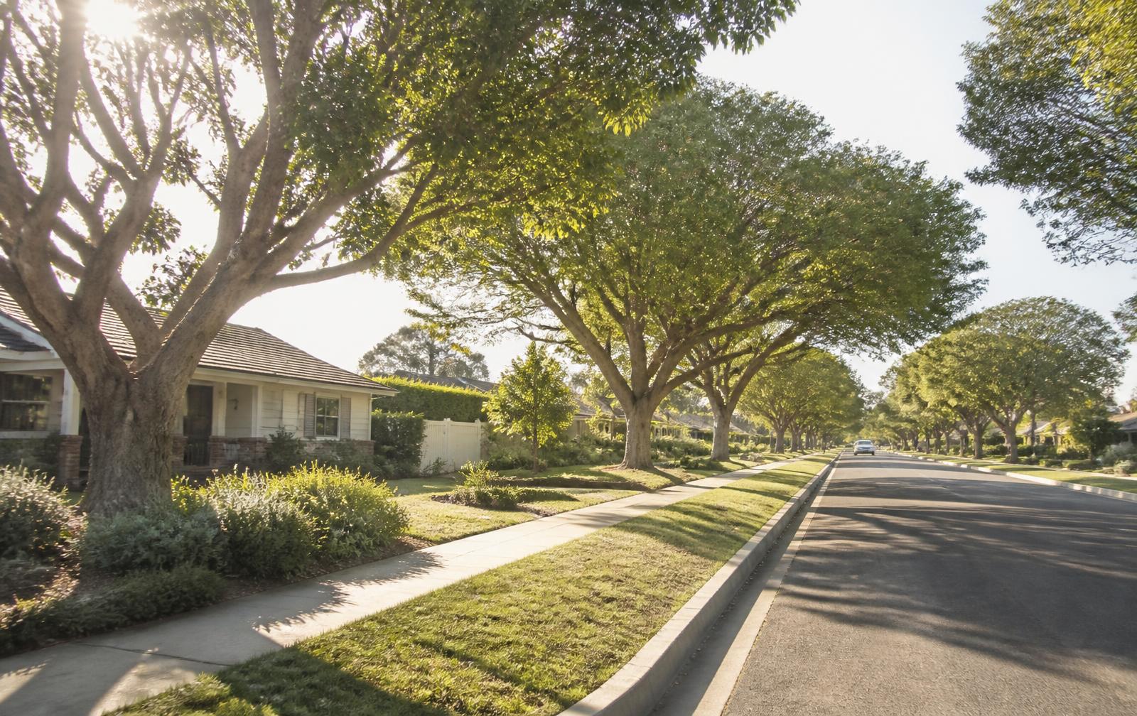 Established Orange County residential street lined with mature shade trees and single-story homes