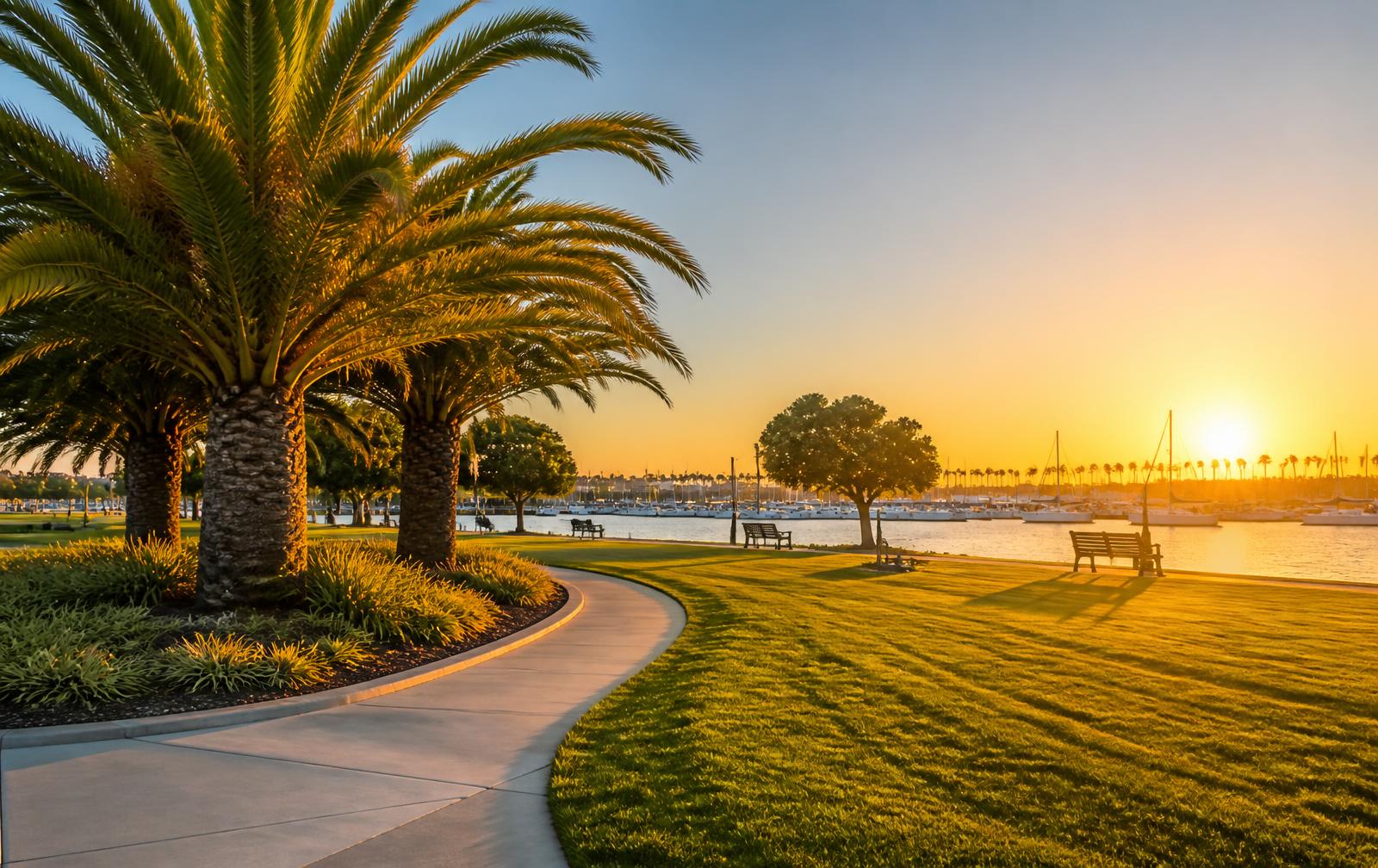 Newport Beach waterfront park at sunset with palm trees, lawn and sailboats in the harbor